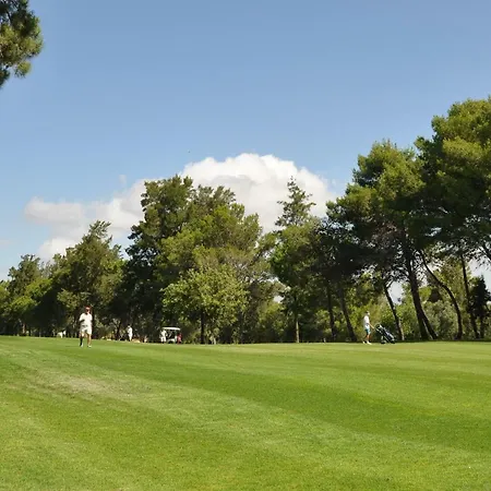 Between Golf And