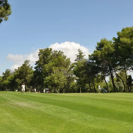 Between Golf And